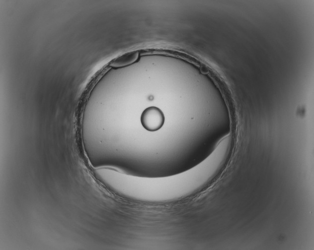 X0000116511264200912231226