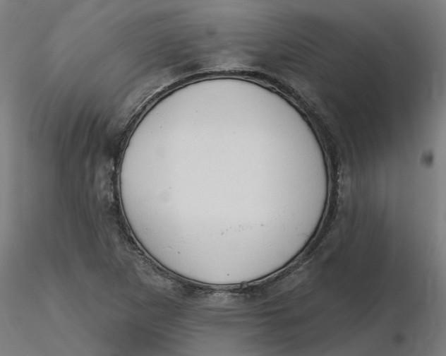 X0000116511265200912231226