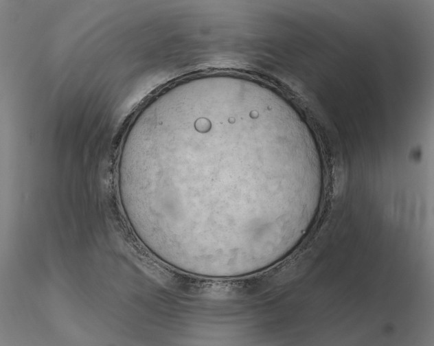 X0000116511266200912231226