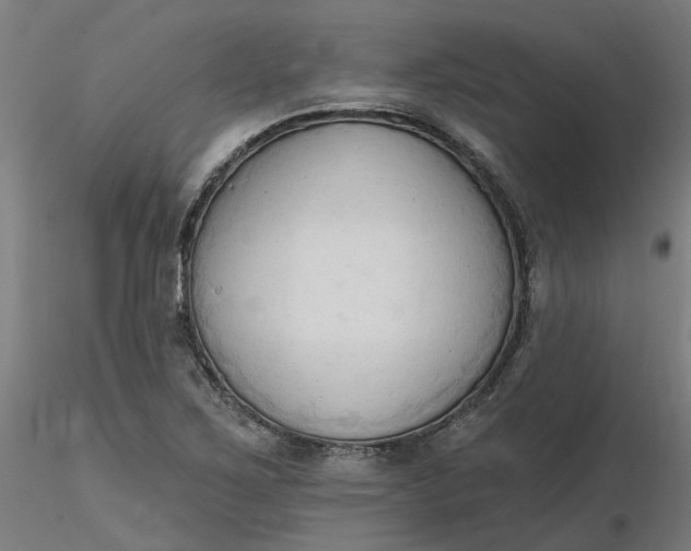 X0000116511267200912231226