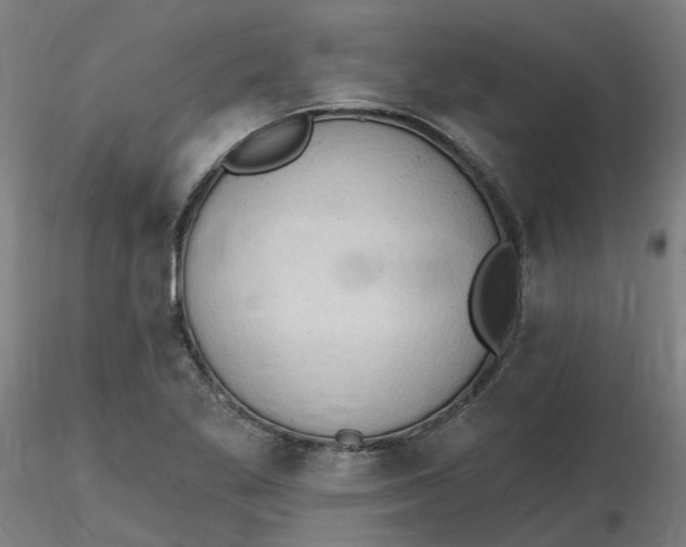 X0000116511269200912231226