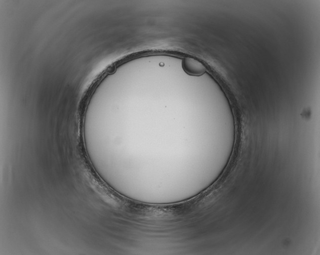 X0000116511270200912231226