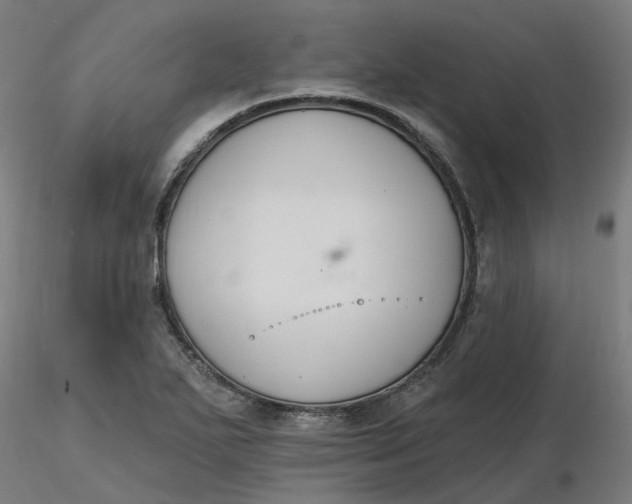 X0000116511271200912231226