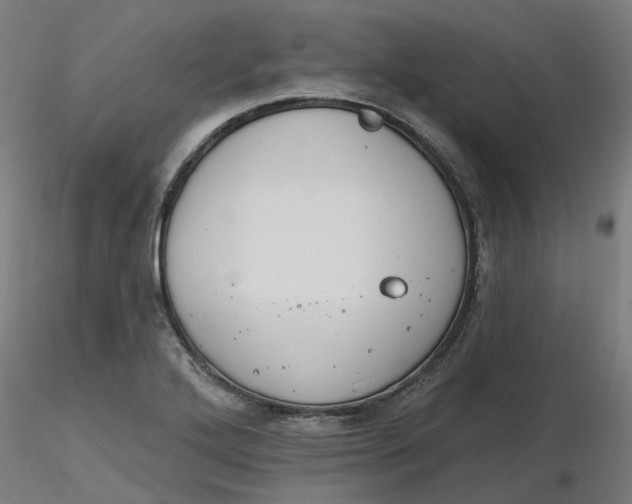 X0000116511272200912231226