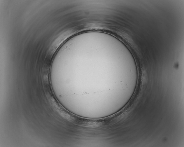 X0000116511273200912231226