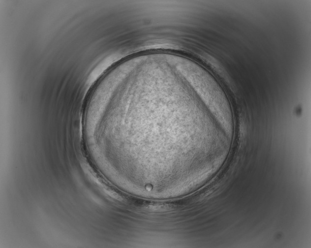 X0000116511274200912231226