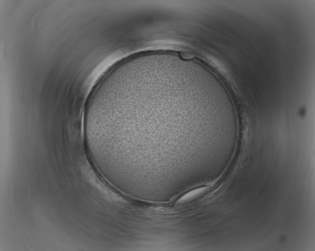 X0000116511275200912231226