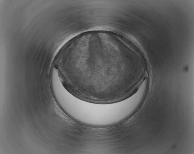 X0000116511276200912231226