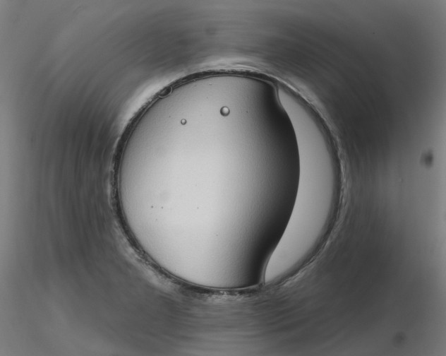 X0000116511277200912231226