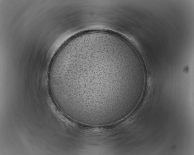 X0000116511279200912231226