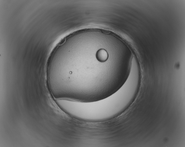 X0000116511280200912231226