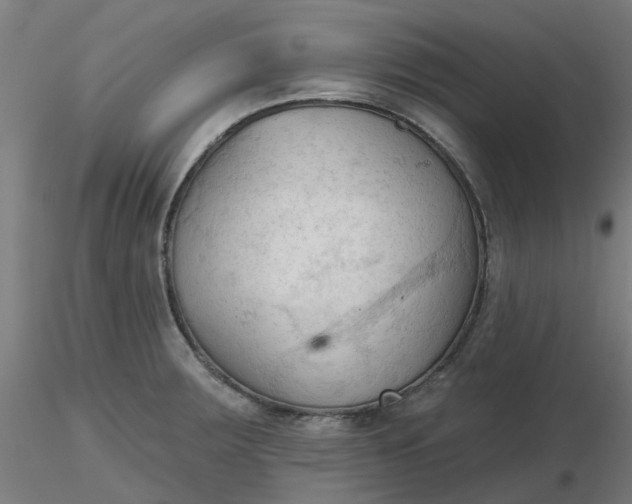 X0000116511283200912231226