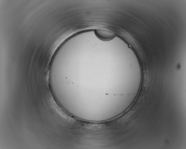 X0000116511284200912231225