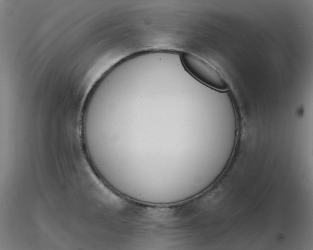 X0000116511285200912231225