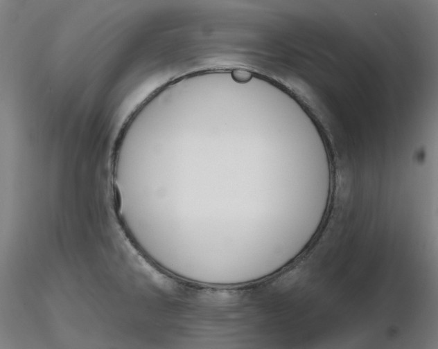 X0000116511286200912231225