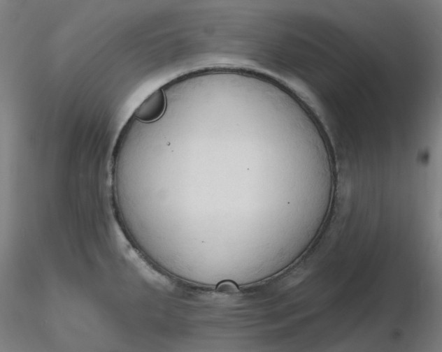 X0000116511287200912231225