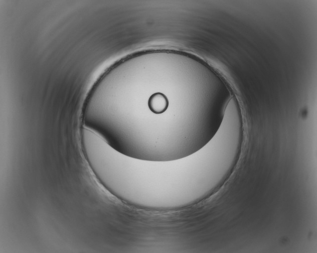 X0000116511288200912231225