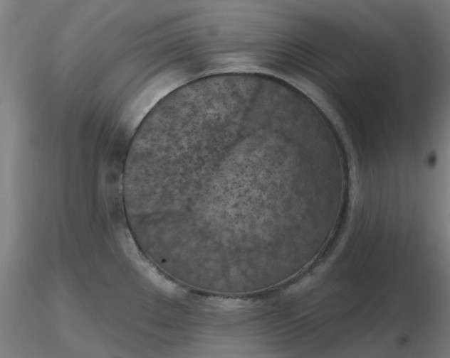 X0000116511289200912231225