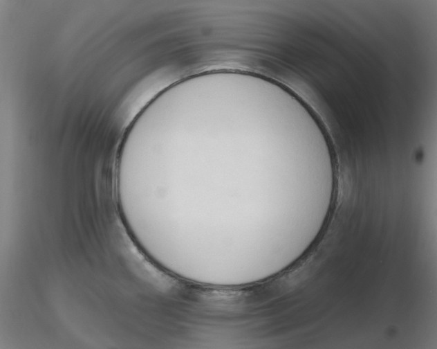 X0000116511290200912231225