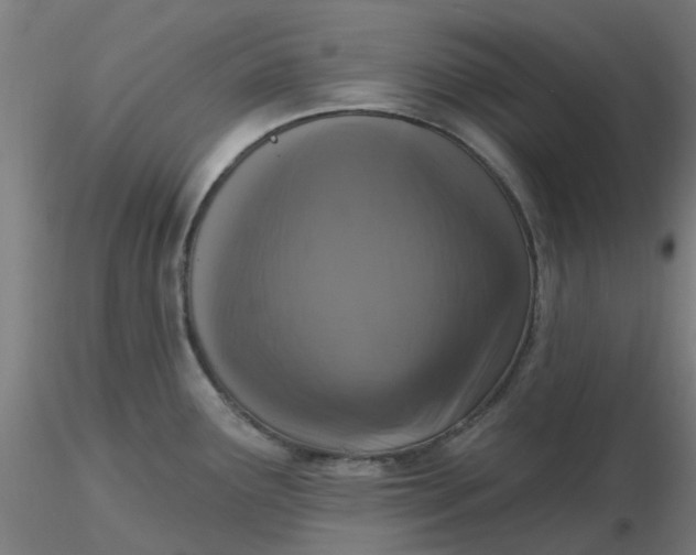 X0000116511291200912231225