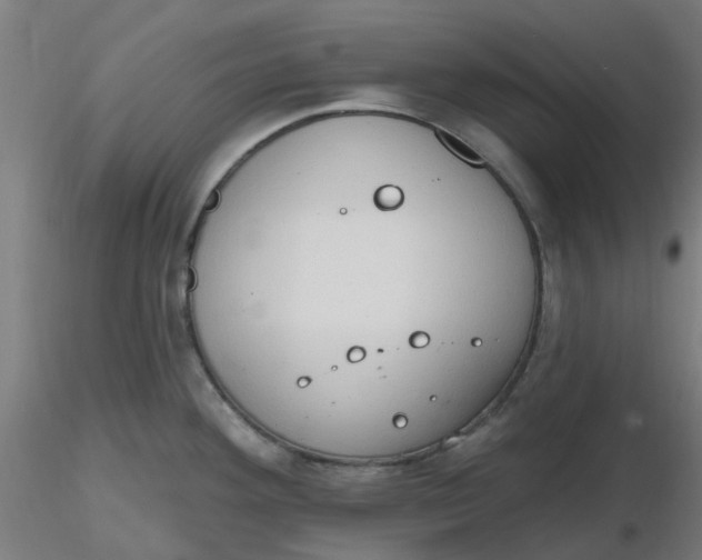 X0000116511292200912231225