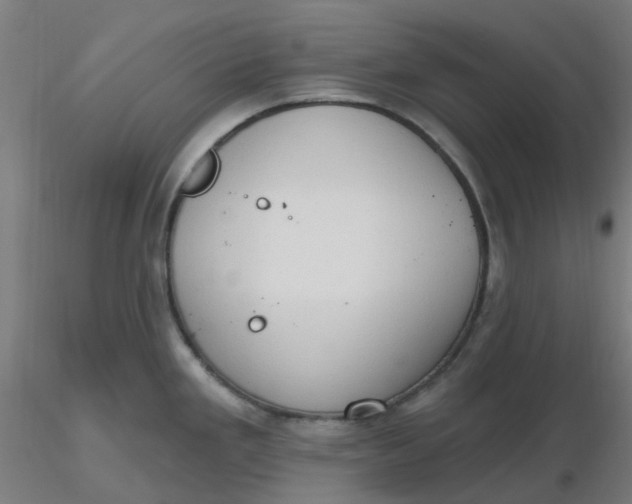 X0000116511293200912231225