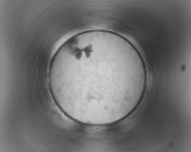 X0000116511294200912231225