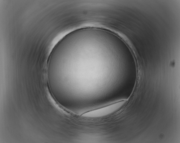 X0000116511295200912231225