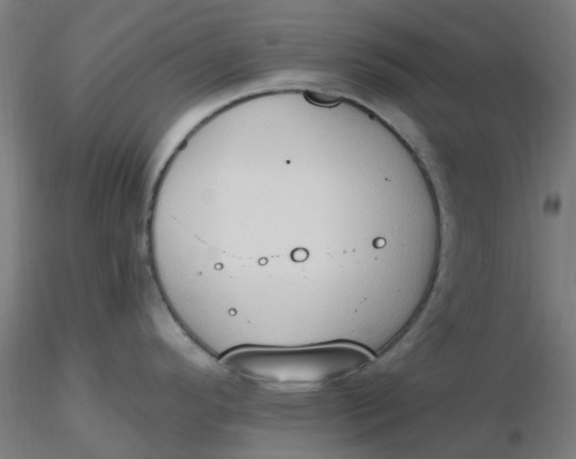 X0000116511296200912231225