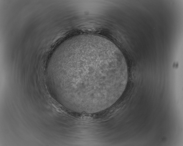 X0000116511297200912231225