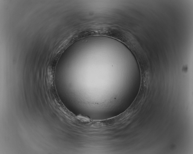 X0000116511298200912231225