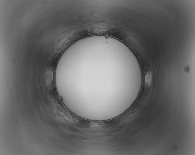 X0000116511299200912231225