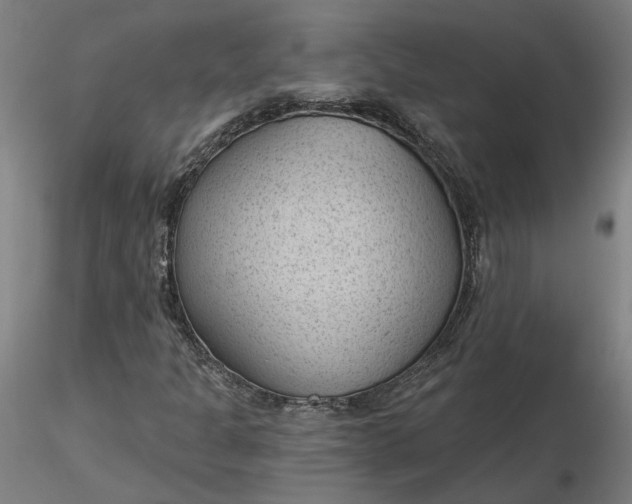 X0000116511301200912231225