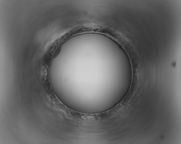 X0000116511302200912231225