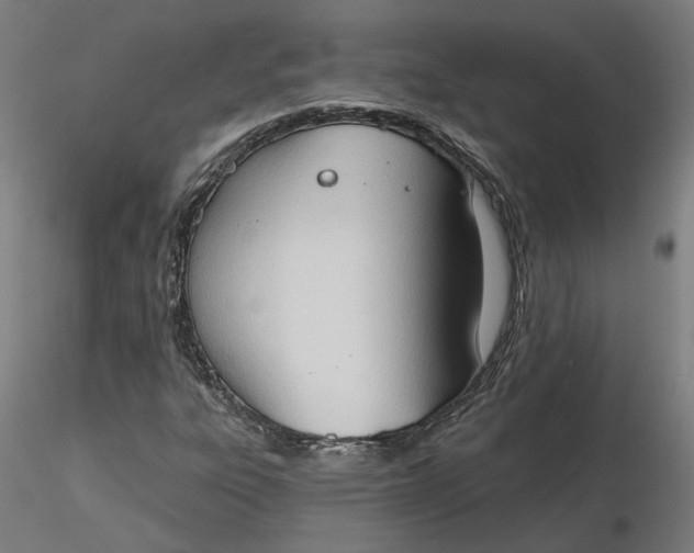 X0000116511303200912231225