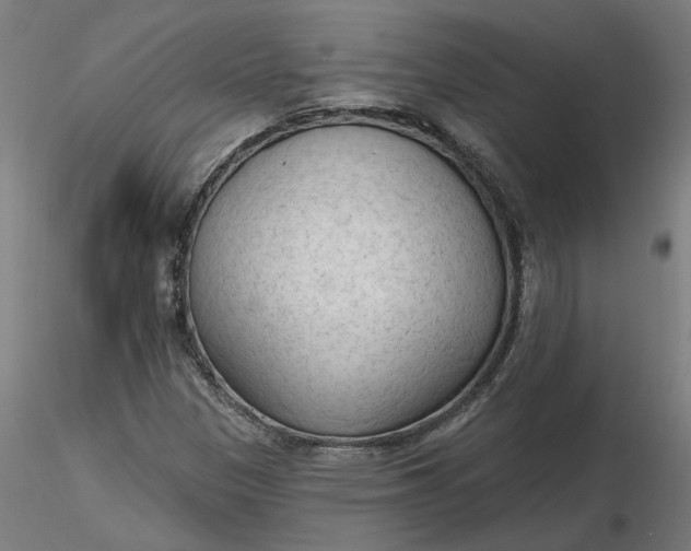 X0000116511305200912231225