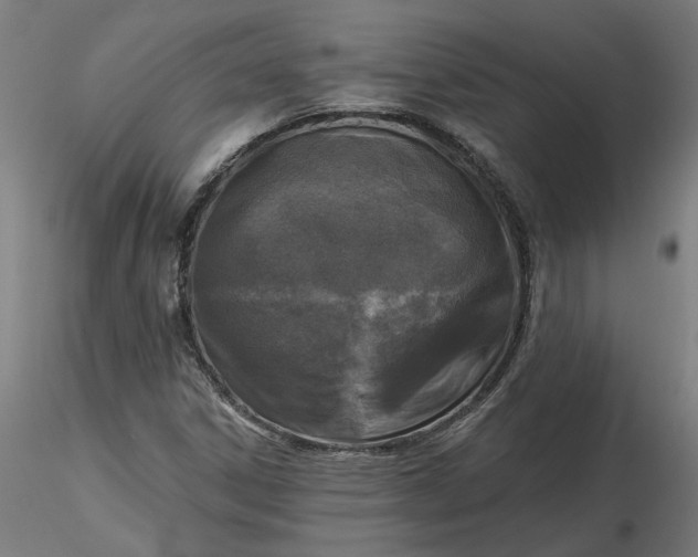 X0000116511306200912231225