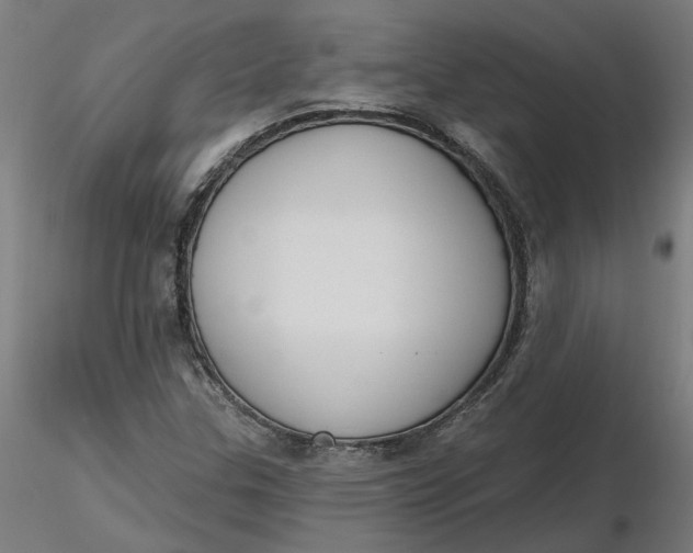 X0000116511307200912231225