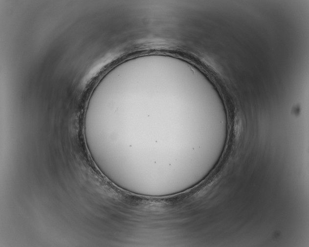 X0000116511309200912231225