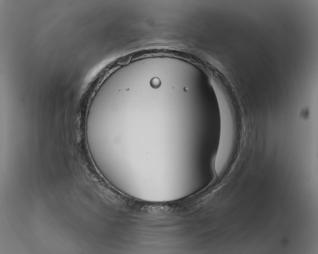 X0000116511310200912231225