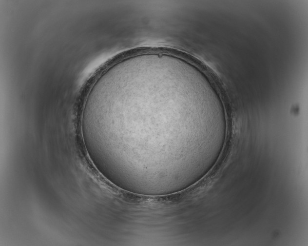 X0000116511311200912231225