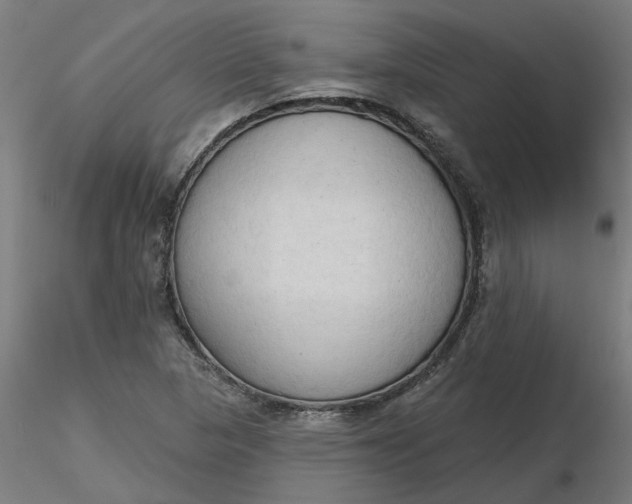 X0000116511313200912231225