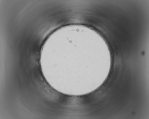 X0000116511314200912231225