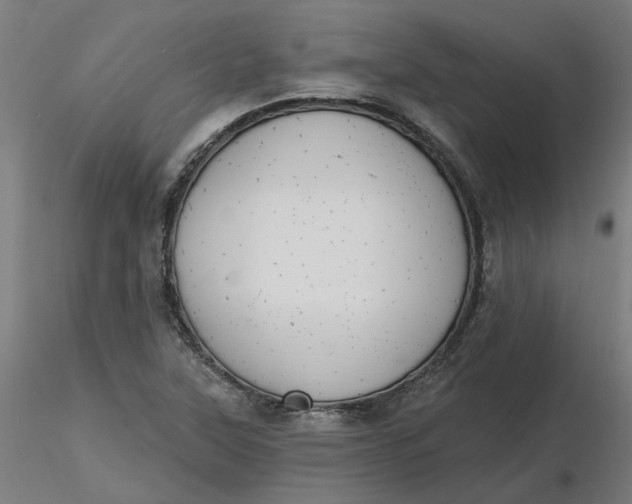 X0000116511315200912231225