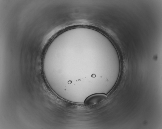 X0000116511318200912231225