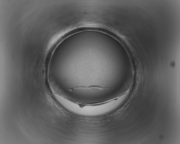 X0000116511319200912231225