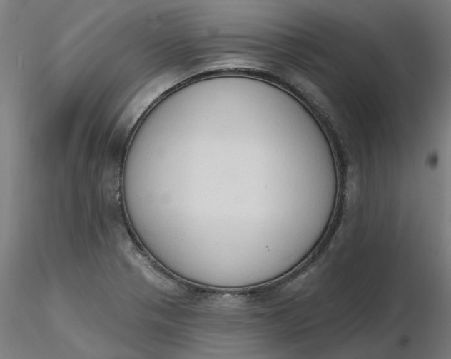 X0000116511321200912231225