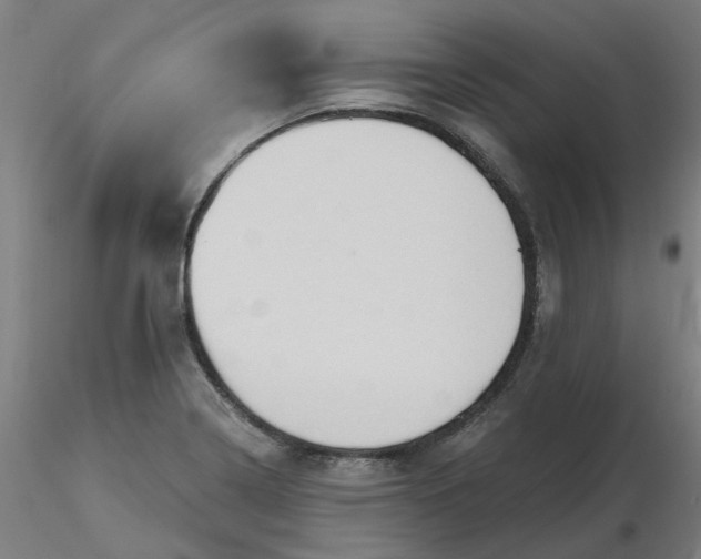 X0000116511322200912231225