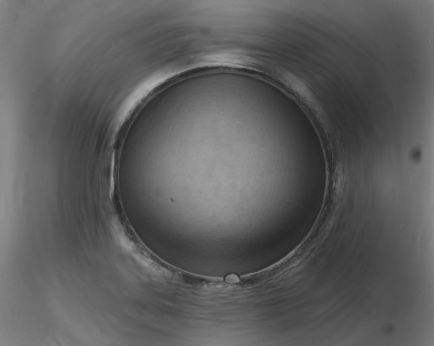 X0000116511323200912231225