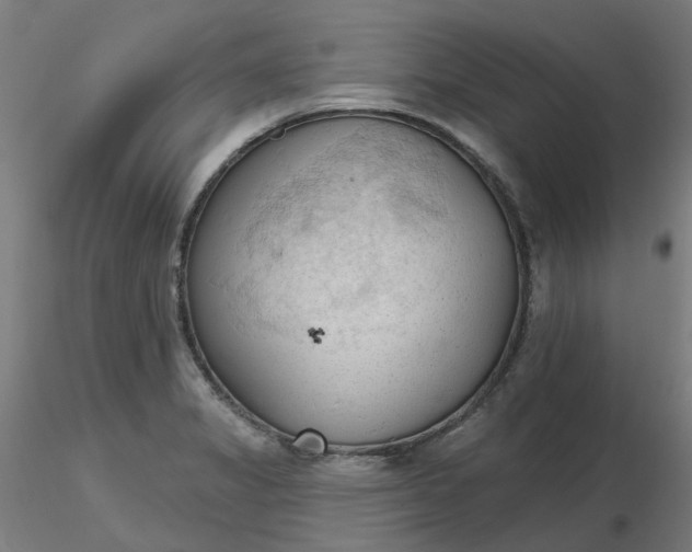 X0000116511325200912231225